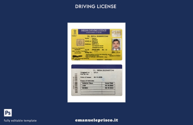 verified style modello di patente di guida dello stato dell'India Bihar in stile verificato template